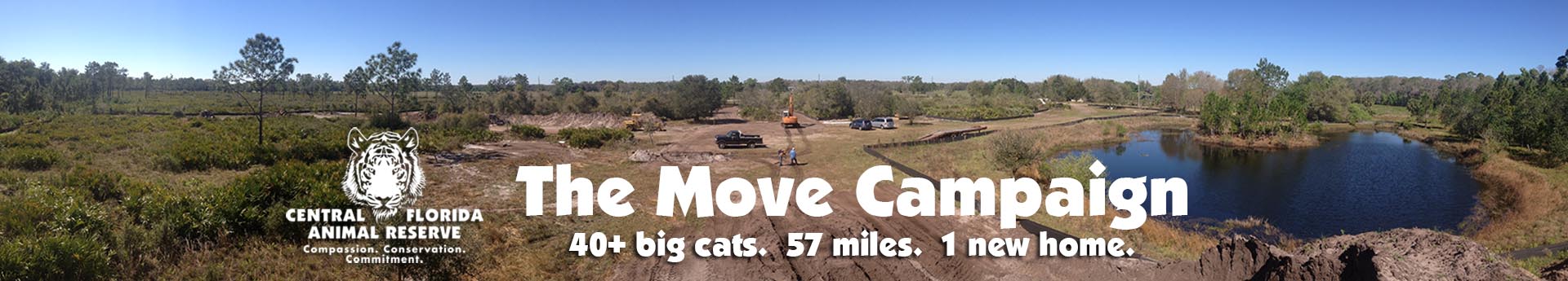 Move campaign logo2
